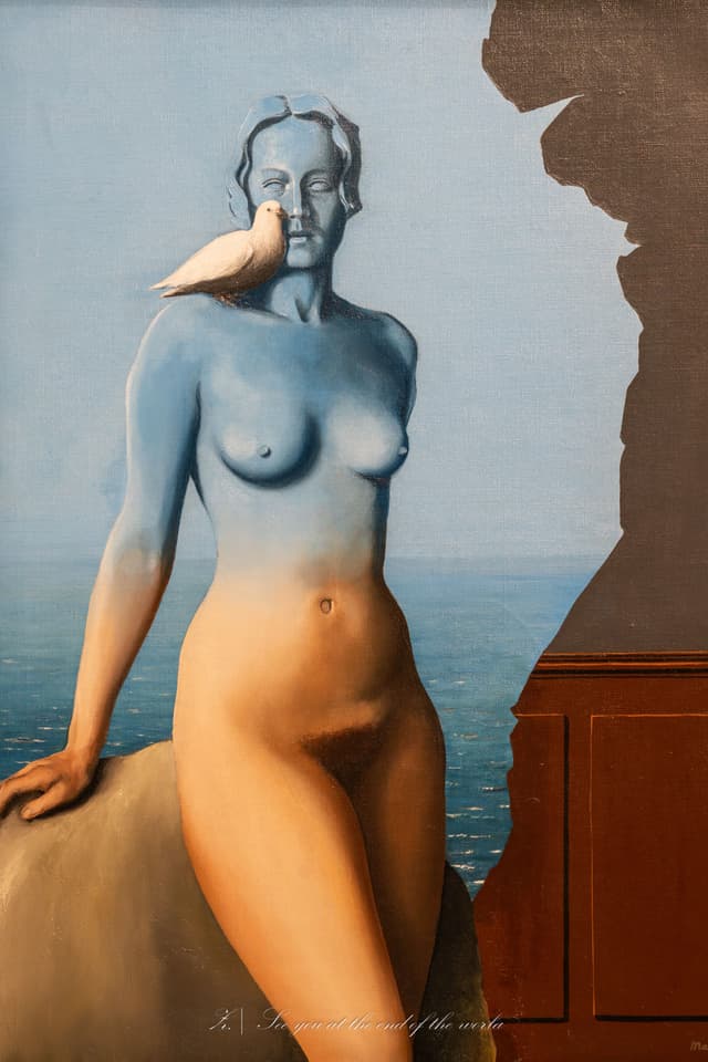 摄影作品